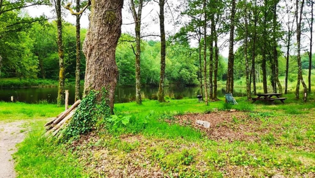 Cap Nature - T3 Et T4 En Perigord Vert - Ideal Pros Et Groupes Max 18P Champniers-et-Reilhac Ngoại thất bức ảnh